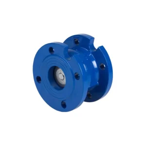 2450 Flanges ends check disk valve