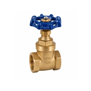 3221 Brass Gate Valve